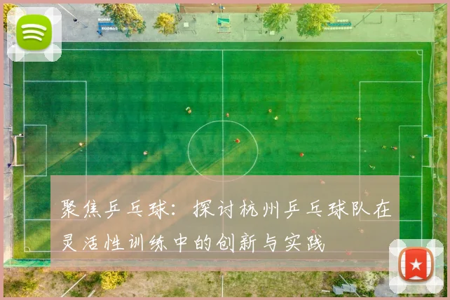 聚焦乒乓球：探讨杭州乒乓球队在灵活性训练中的创新与实践